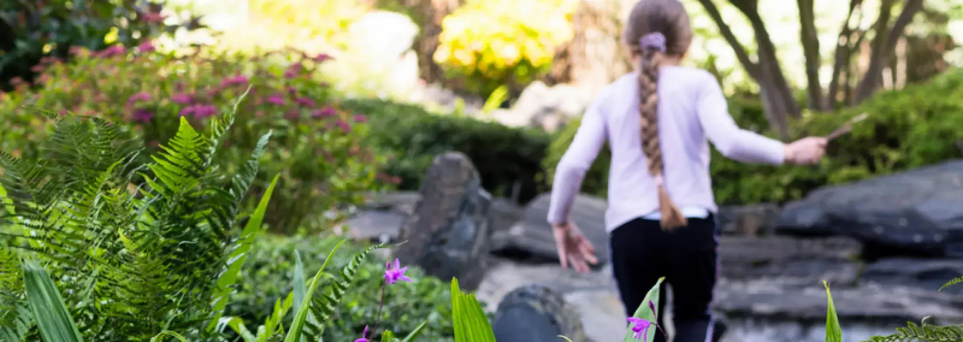 Le jardin de Kofu