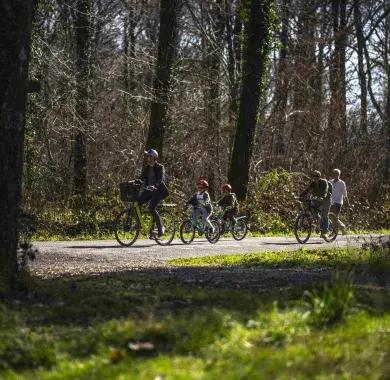 La forêt de Bastard