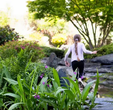 Le jardin de Kofu